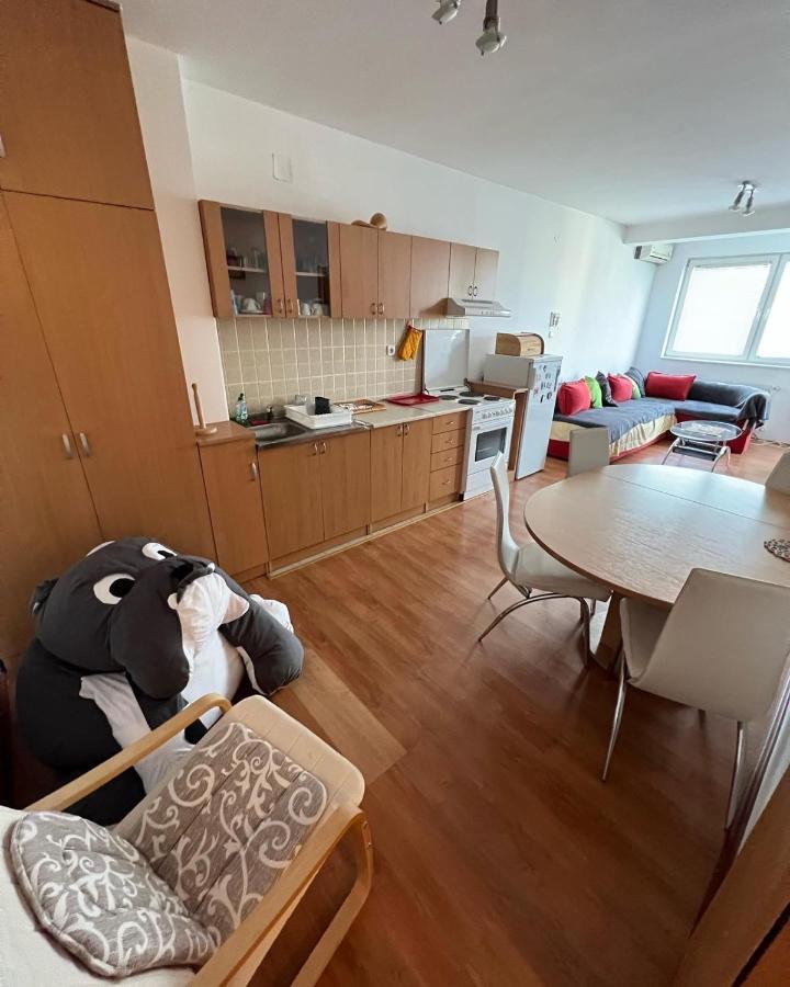 Apartments D&D Požarevac Екстериор снимка
